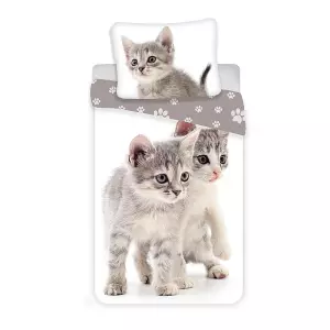 Bavlněné povlečení Kitten grey 140x200+70x90