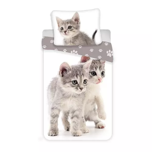 Bavlněné povlečení Kitten grey 140x200+70x90