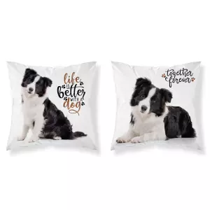 Povlak na polštářek Border kolie 40x40 cm