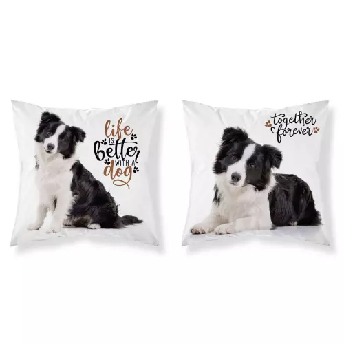 Povlak na polštářek Border kolie 40x40 cm