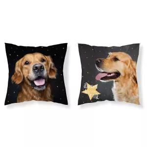 Povlak na polštářek Pes hvězdy 40x40 cm