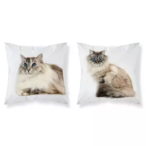 Povlak na polštářek Kočka modroočko 40x40 cm