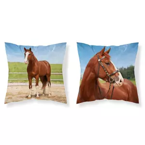 Povlak na polštářek Kůň v ohradě 40x40 cm