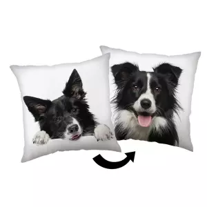 Polštářek Border kolie  40x40 cm