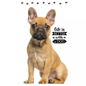 Dětský froté ručník Francouzský Buldoček 30x50 cm