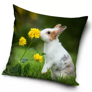 Povlak na polštářek Králík na Louce 40x40 cm