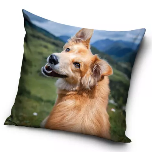 Povlak na polštářek Pejsek v horách 40x40 cm