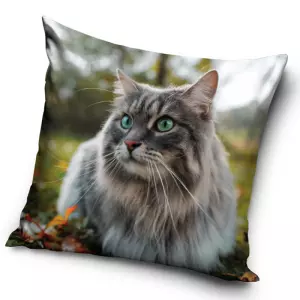 Povlak na polštářek Kočka Sibiřská 40x40 cm