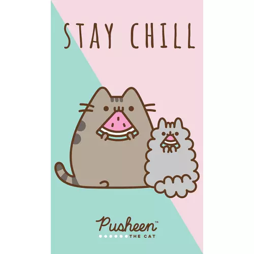 Dětský froté ručník Kočička Pusheen Stay Chill 30x50 cm