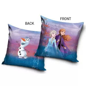 Povlak na polštářek Ledové Království Čarovné Dobrodružství 40x40 cm