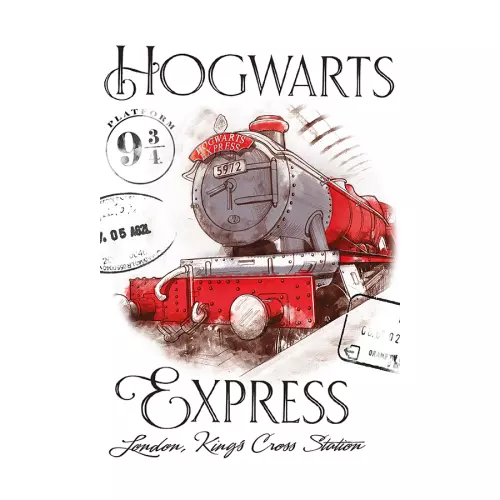 Dětský froté ručník Harry Potter Bradavický Express 30x50 cm