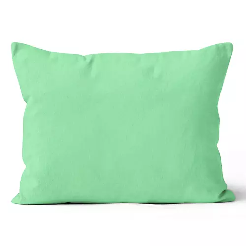 Mikroplyšový povlak na polštář Pistáciový 50x70 cm