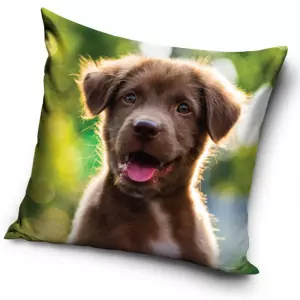 Povlak na polštářek Šteňátko malý Nezbeda 40x40 cm