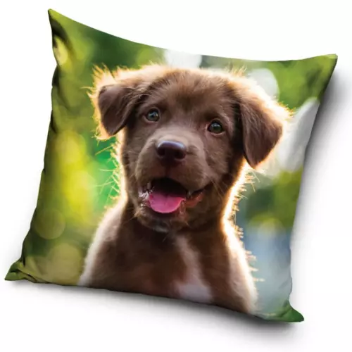 Povlak na polštářek Šteňátko malý Nezbeda 40x40 cm