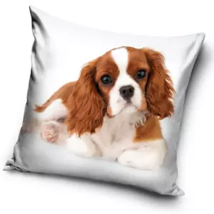 Povlak na polštářek Pejsek Kavalír king Charles španěl 40x40 cm