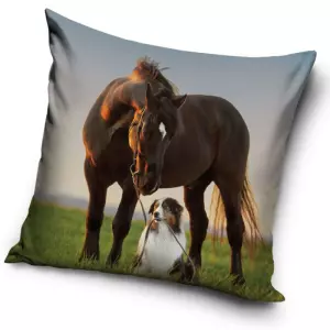 Povlak na polštářek Kůň a Border Kolie 40x40 cm