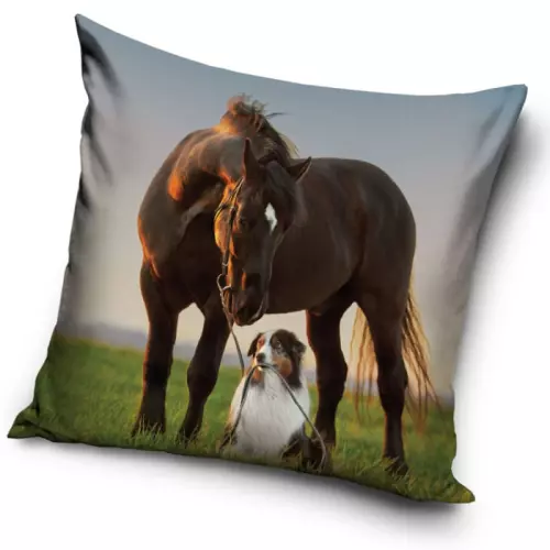 Povlak na polštářek Kůň a Border Kolie 40x40 cm