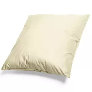 Mikroplyšový povlak na polštář Smetanový 50x50 cm