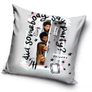 Povlak na polštářek Přátelé Párty u Monicy 40x40 cm